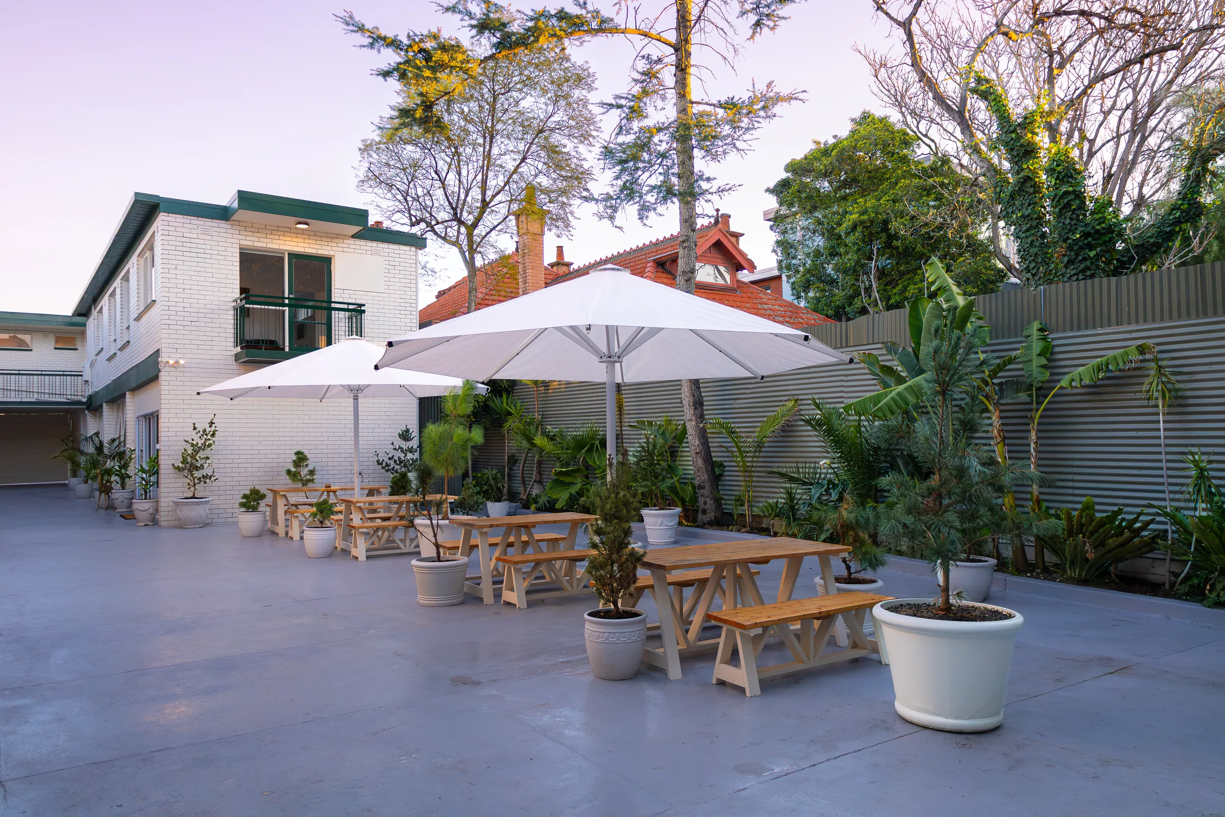 A Courtyard Made for Long Afternoons